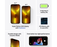 Apple iPhone 13 Pro Max 256GB Gold - 681186 - zdjęcie 8